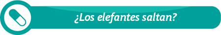 Elefantes